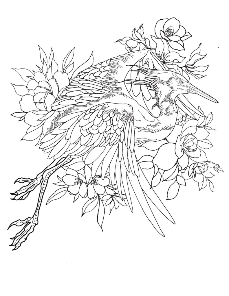 Crane-flowers