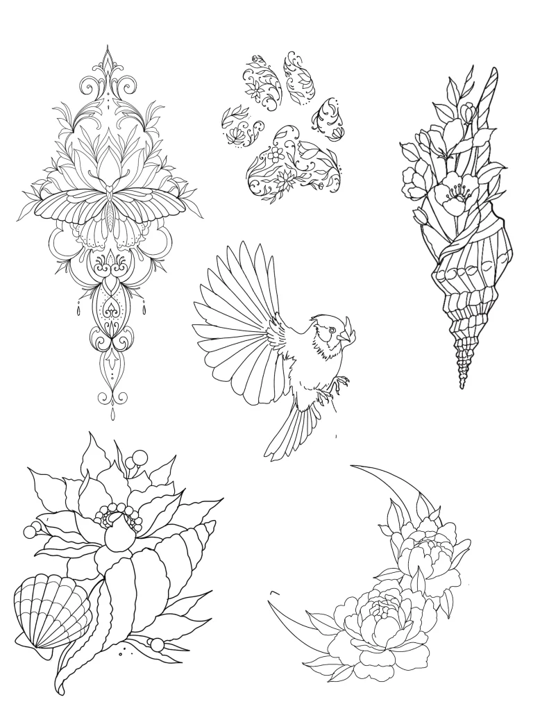 Shells-bird