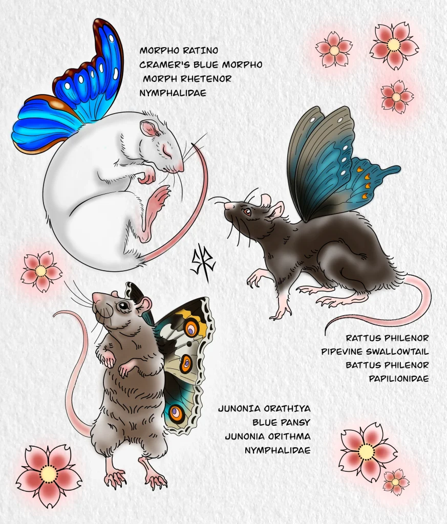 mouse-rat-butterfly