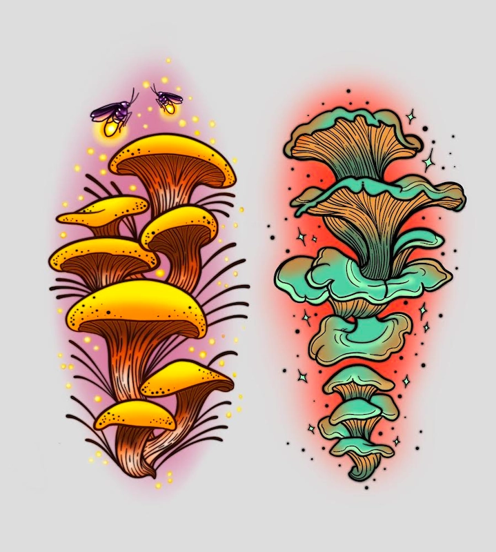 mushroom-nature-color
