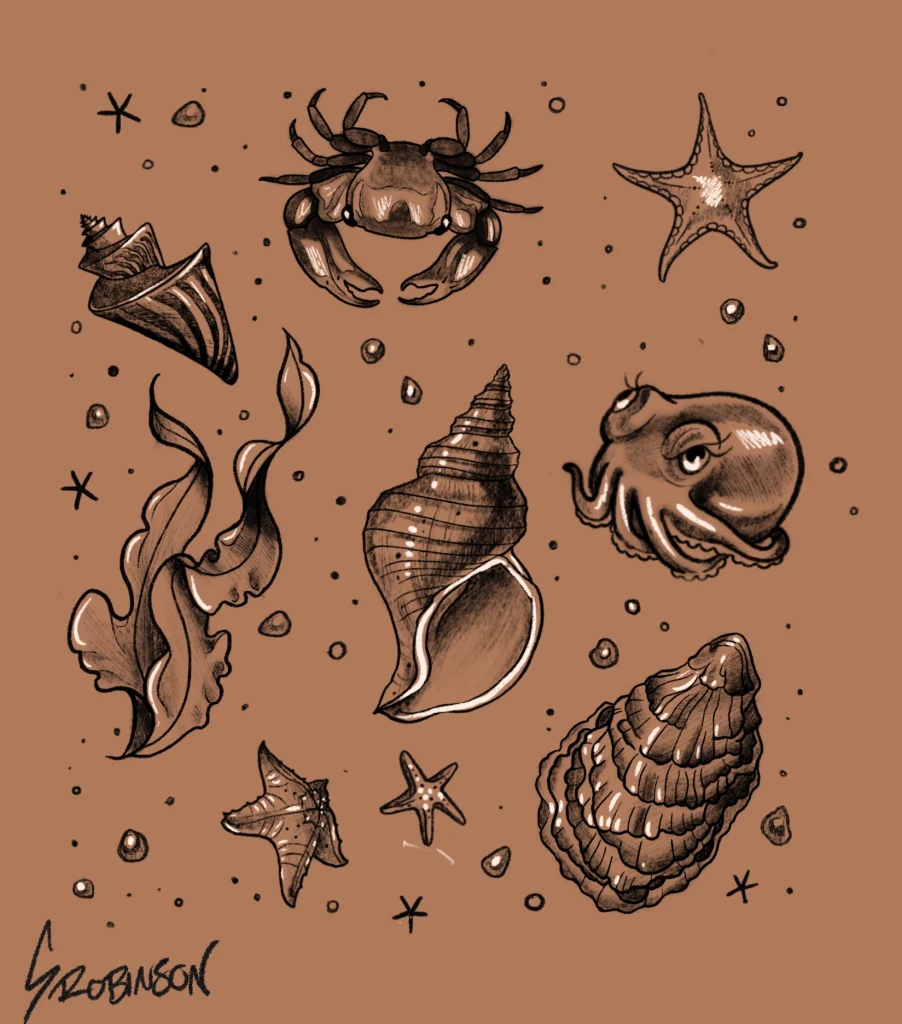 sea-creatures